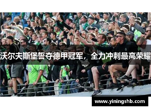 沃尔夫斯堡誓夺德甲冠军，全力冲刺最高荣耀