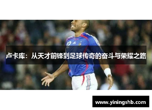 卢卡库：从天才前锋到足球传奇的奋斗与荣耀之路